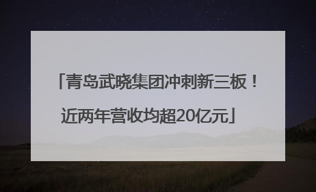 青岛武晓集团冲刺新三板！近两年营收均超20亿元