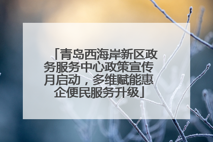 青岛西海岸新区政务服务中心政策宣传月启动，多维赋能惠企便民服务升级