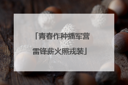 青春作种播军营 雷锋薪火照戎装