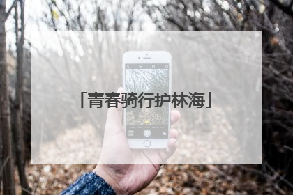 青春骑行护林海