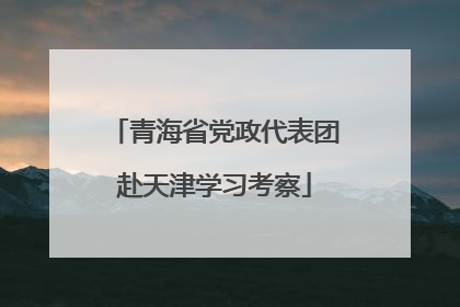 青海省党政代表团赴天津学习考察