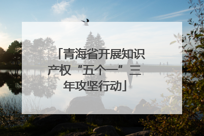 青海省开展知识产权“五个一”三年攻坚行动