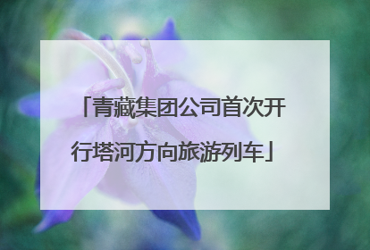 青藏集团公司首次开行塔河方向旅游列车