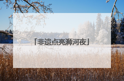 非遗点亮浉河夜