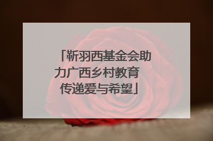 靳羽西基金会助力广西乡村教育 传递爱与希望