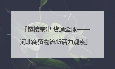 链接京津 货通全球——河北商贸物流新活力观察