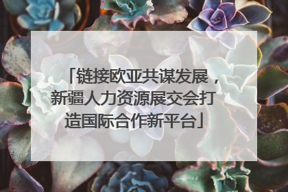 链接欧亚共谋发展，新疆人力资源展交会打造国际合作新平台