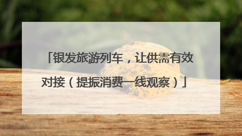银发旅游列车，让供需有效对接（提振消费一线观察）