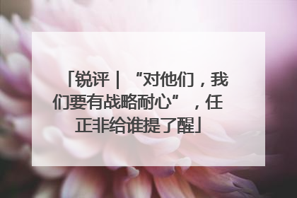 锐评｜“对他们，我们要有战略耐心”，任正非给谁提了醒