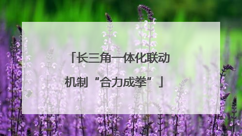 长三角一体化联动机制“合力成拳”