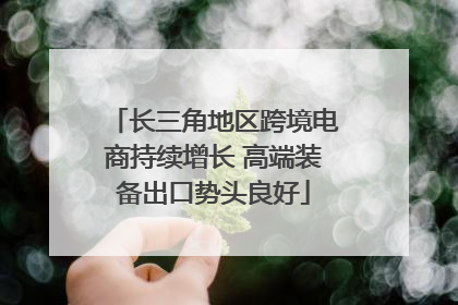 长三角地区跨境电商持续增长 高端装备出口势头良好