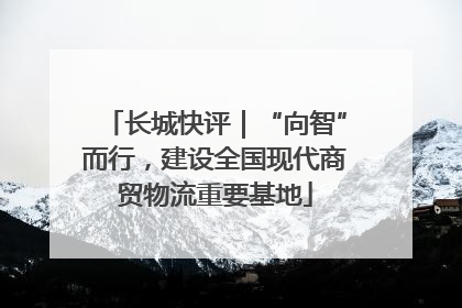 长城快评｜“向智”而行，建设全国现代商贸物流重要基地