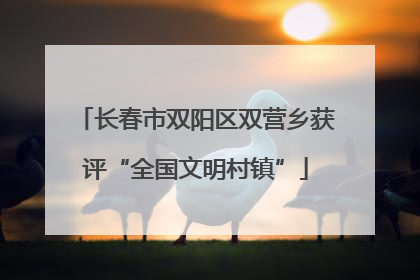 长春市双阳区双营乡获评“全国文明村镇”
