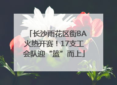 长沙雨花区街BA火热开赛！17支工会队迎“篮”而上