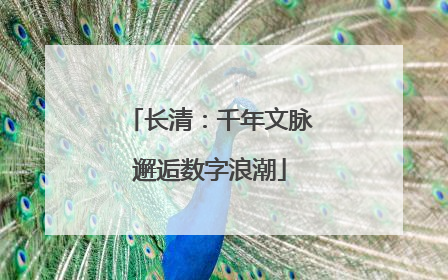 长清：千年文脉邂逅数字浪潮
