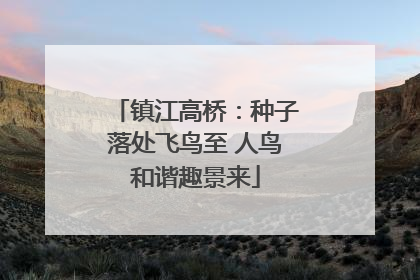 镇江高桥：种子落处飞鸟至 人鸟和谐趣景来