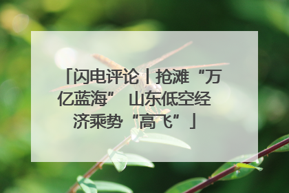 闪电评论丨抢滩“万亿蓝海” 山东低空经济乘势“高飞”