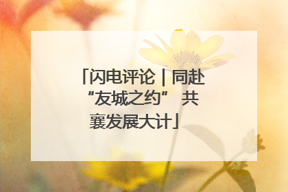 闪电评论｜同赴“友城之约” 共襄发展大计