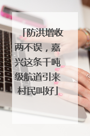 防洪增收两不误，嘉兴这条千吨级航道引来村民叫好