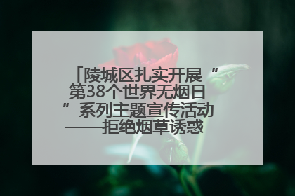 陵城区扎实开展“第38个世界无烟日”系列主题宣传活动——拒绝烟草诱惑 对第一支烟说不