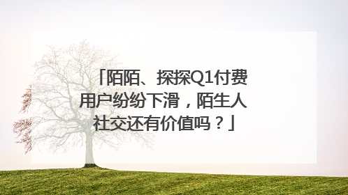 陌陌、探探Q1付费用户纷纷下滑，陌生人社交还有价值吗？