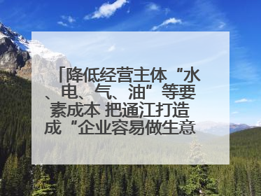 降低经营主体“水、电、气、油”等要素成本 把通江打造成“企业容易做生意的地方”