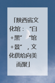 陕西省文化馆：“白+黑”“馆+景”，文化供给向美而聚