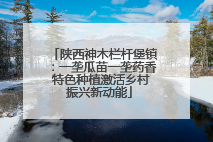 陕西神木栏杆堡镇：一垄瓜苗一垄药香 特色种植激活乡村振兴新动能