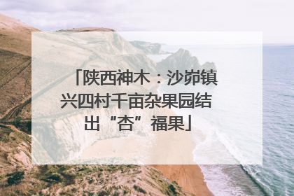 陕西神木：沙峁镇兴四村千亩杂果园结出“杏”福果