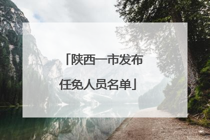 陕西一市发布任免人员名单