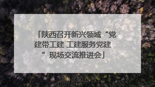 陕西召开新兴领域“党建带工建 工建服务党建”现场交流推进会