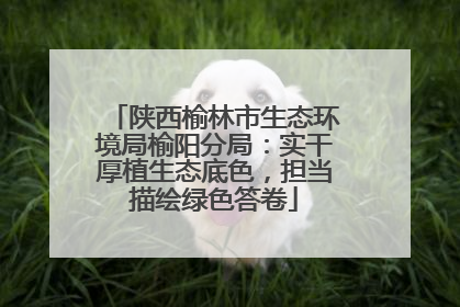 陕西榆林市生态环境局榆阳分局：实干厚植生态底色，担当描绘绿色答卷