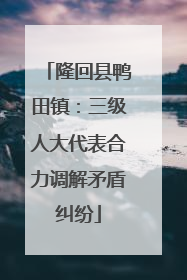 隆回县鸭田镇：三级人大代表合力调解矛盾纠纷