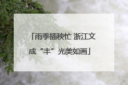 雨季插秧忙 浙江文成“丰”光美如画