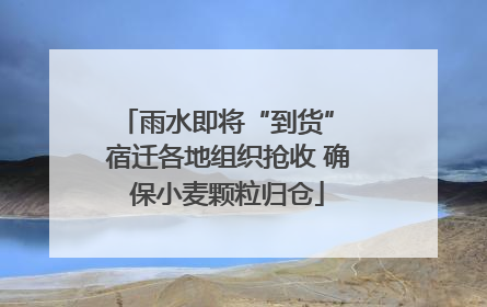 雨水即将“到货” 宿迁各地组织抢收 确保小麦颗粒归仓