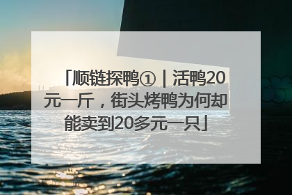 顺链探鸭①｜活鸭20元一斤，街头烤鸭为何却能卖到20多元一只