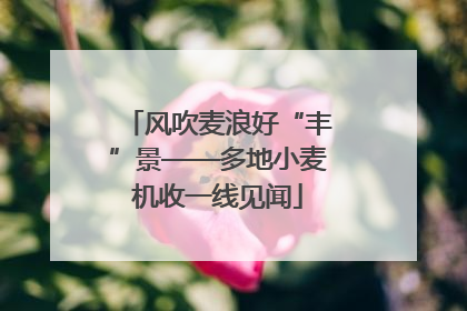 风吹麦浪好“丰”景——多地小麦机收一线见闻