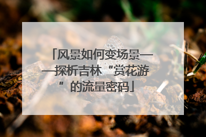 风景如何变场景——探析吉林“赏花游”的流量密码