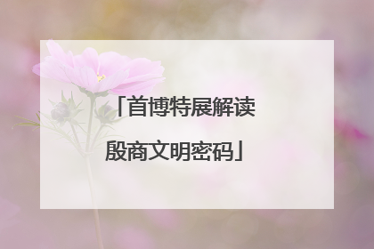 首博特展解读殷商文明密码