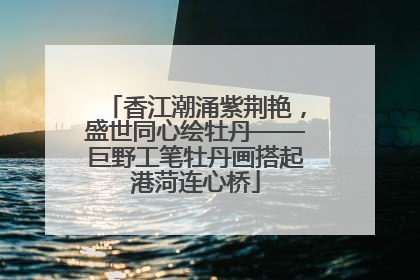 香江潮涌紫荆艳，盛世同心绘牡丹——巨野工笔牡丹画搭起港菏连心桥