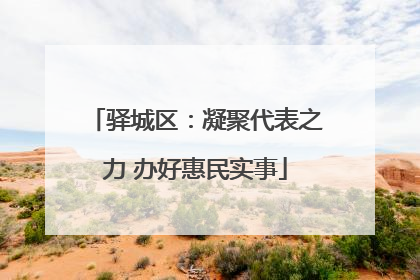 驿城区：凝聚代表之力 办好惠民实事