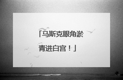 马斯克眼角淤青进白宫！