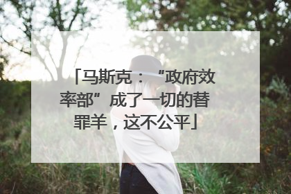 马斯克：“政府效率部”成了一切的替罪羊，这不公平