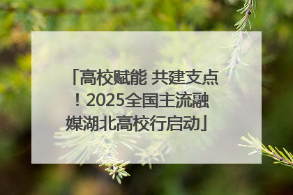 高校赋能 共建支点！2025全国主流融媒湖北高校行启动