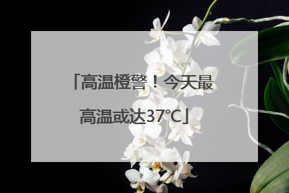 高温橙警！今天最高温或达37℃