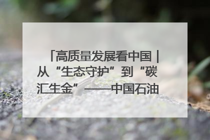 高质量发展看中国｜从“生态守护”到“碳汇生金”——中国石油大庆油田绿色蝶变