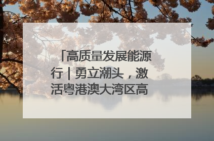高质量发展能源行｜勇立潮头，激活粤港澳大湾区高质量发展动力源