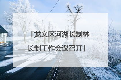 龙文区河湖长制林长制工作会议召开