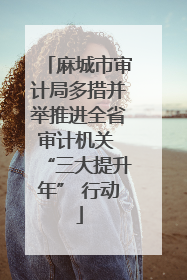 麻城市审计局多措并举推进全省审计机关 “三大提升年” 行动