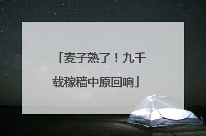 麦子熟了！九千载稼穑中原回响